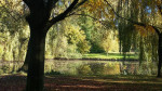 Piet van Houten wandelpark Wilma Groeneveld
